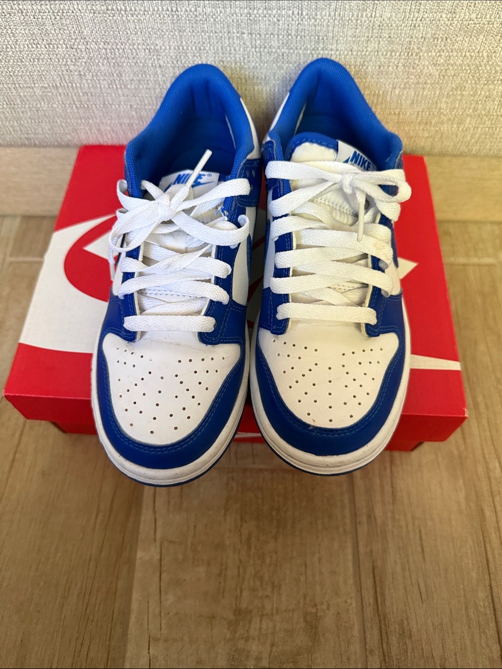 Nike Dunk-Racer blue